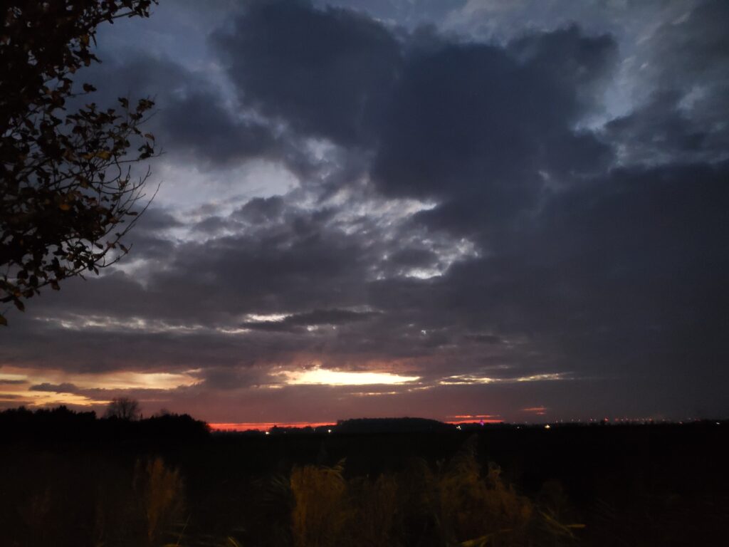 Bewölkter Himmel über einer Waldfläche mit Sonnenuntergang.